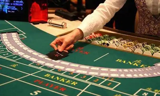3111bet